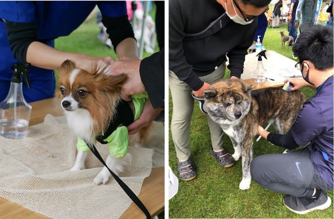 獣医師による「愛犬の体脂肪測定」