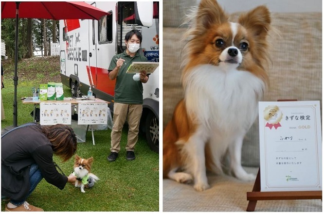 愛犬との絆の深さをチェックする「きずな検定」